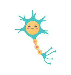 Human Sensory Neuron Model For Biology Studies