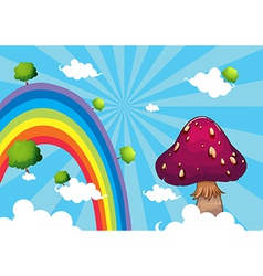 Rainbow And The Giant Mushroom