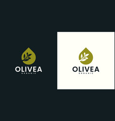 Olive Oil Drop Logo Design