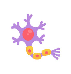 Human Sensory Neuron Model For Biology Studies