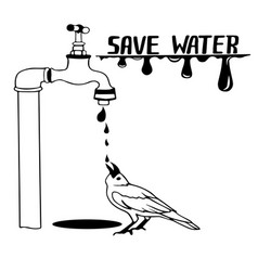 Concept Is To Save Water Resources Raven Bird Dri