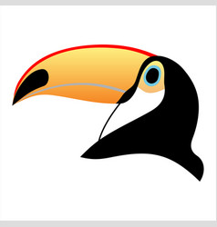 Head Of An Toucan