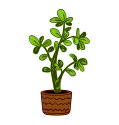 Succulent Tree Plant Pot Icon Cartoon