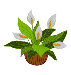 White Flower Plant Pot Icon Cartoon Window