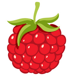 One Piece Raspberry On White Background