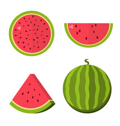 Cartoon Fresh Watermelon Half Wedges