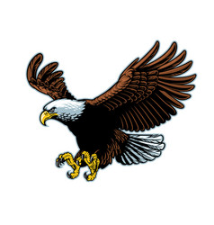 Flying eagle design Royalty Free Vector Image - VectorStock