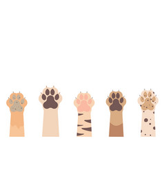 Paws Up To Pets Set Isolated On A White Background