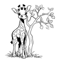 Giraffe And Tree Black White For Coloring Book