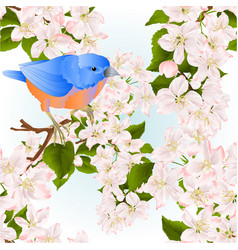 Seamless Textura Background Bluebird Thrush