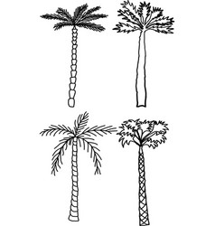 Coconut Palm Tree Sketch