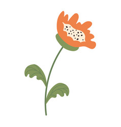 Doodle Orange Flower Isolated On Transparent