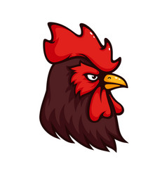 Brown Rooster Head Mascot Of Sport Team