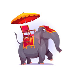 Funny Elephant With Chair Blanket And Umbrella