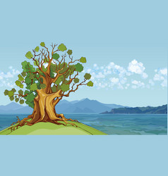 Cartoon Oak Tree Growing On A Hill Sea