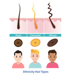 Ethnicity Hair Types