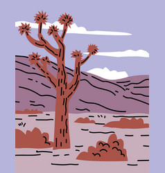 Joshua Tree National Park In Southeastern