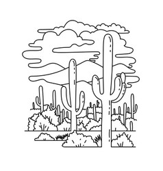 Saguaro National Park In Southern Arizona