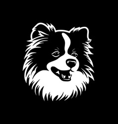 Pomeranian - Black And White