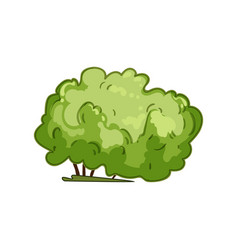 Tree Garden Shrub Cartoon