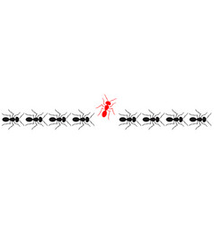 Ants Marching Or Walking And One Changing