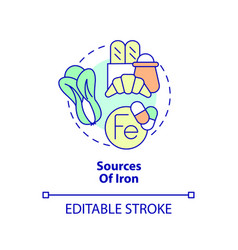 Sources Of Iron Concept Icon