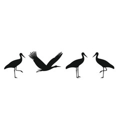 Stork Silhouette