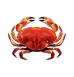 Red Crab From A Splash Watercolor Colored