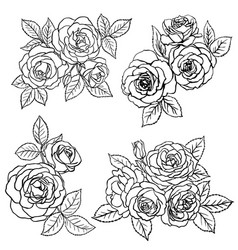 Set Rose Sketch Black Outline On White Background