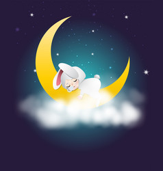 Baby Bunny Sleeping On The Moon In Cloudy Night