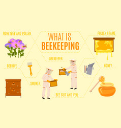 What Is Beekeeping Infographics