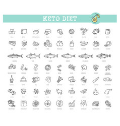 Ketogenic Diet A Large Set Of Products