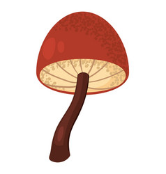 Mushroom Wild Icon