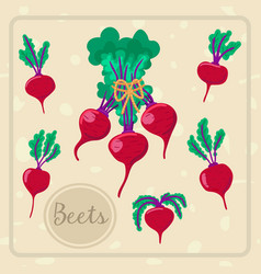 Banner With Vegetables Beets In A Bunch Fair