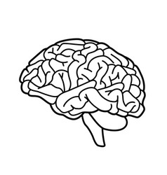 Brain Or Mind Side View Line Art Icon