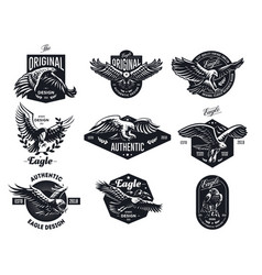 Set eagles Royalty Free Vector Image - VectorStock