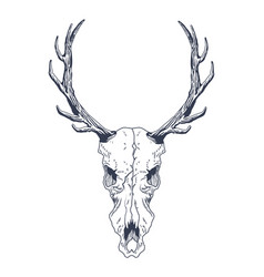 Reindeer Skull Boho Style