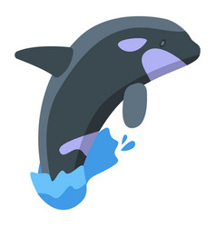 Killer Whale Show Icon Isometric Style