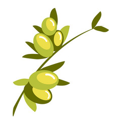 Olive Branch