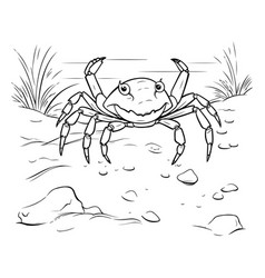 Crab On The Beach Coloring Book For Children