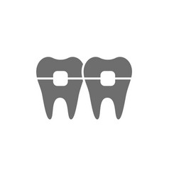 Teeth With Braces Orthodontics Brackets Grey