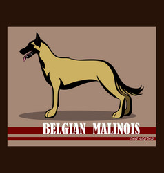 Belgian Shepherd Malinois Dog Eps 10