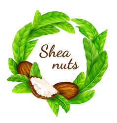 Shea Nuts With Leaves