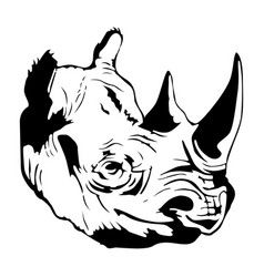 Rhino Head