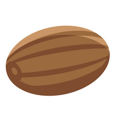 Spa Jojoba Nut Icon Isometric Style