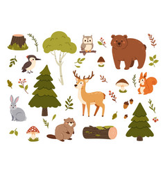 Wild Forest Animals Bear Squirrel And Deer