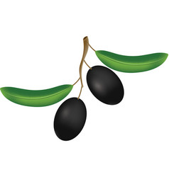 Clipart Black Olive