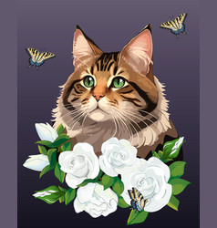 Cat And Flowers