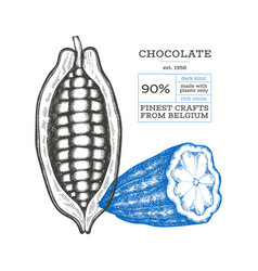 Cocoa Design Template Chocolate Beans