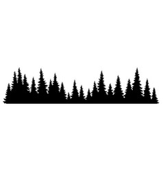 Fir Trees Silhouette Coniferous Spruce Horizontal